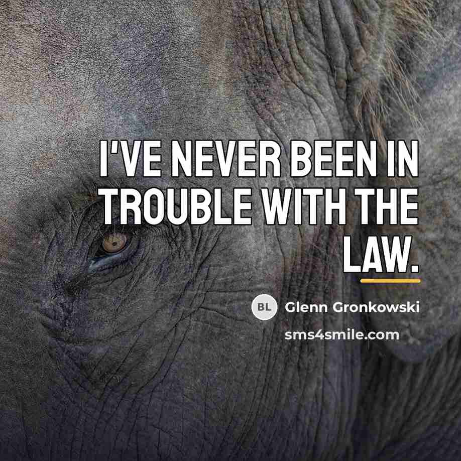 “I've never been in trouble with the law.…” quote by Glenn Gronkowski