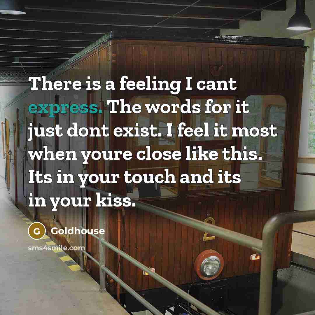 “There is a feeling I cant express. The words for it just dont exist. I feel it most when youre close like this. Its in your touch and its in your kiss.” quote by Goldhouse