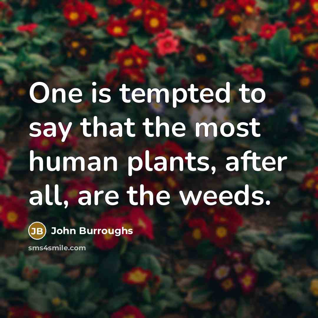 “One is tempted to say that the most human plants, after all, are the weeds.” quote by John Burroughs