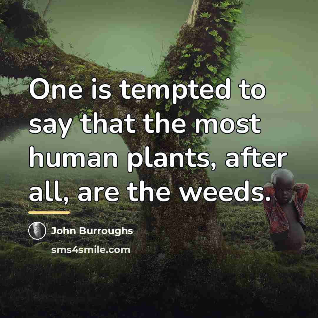“One is tempted to say that the most human plants,…” quote by John Burroughs