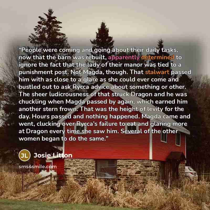 “People were coming and going about their daily tasks, now that the barn was rebuilt, apparently determined to ignore the fact that the lady of their manor was tied to a punishment post. Not Magda, though. That stalwart passed him with as close to a glare as she could ever come and bustled out to…” quote by Josie Litton