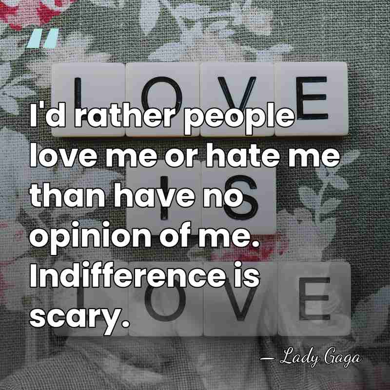 I'd rather people love me or hate me than have no opinion&hellip; - Lady Gaga