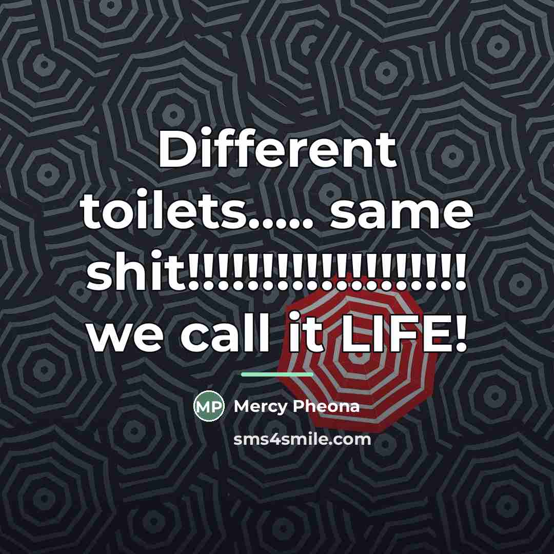 “Different toilets..... same shit!!!!!!!!!!!!!!!!!!! we call it LIFE!…” quote by Mercy Pheona