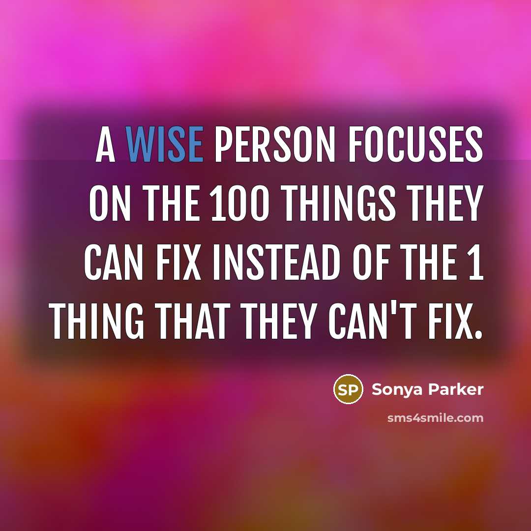 “A wise person focuses on the 100 things they can…” quote by Sonya Parker