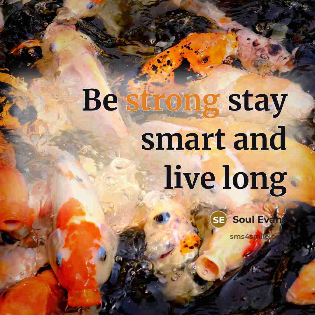“Be strong stay smart and live long” quote by Soul Evans
