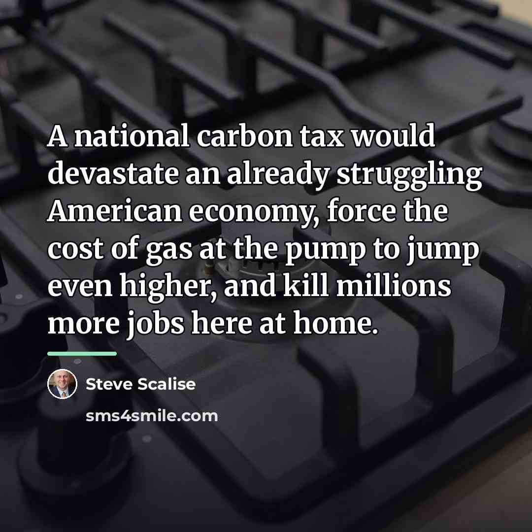 “A national carbon tax would devastate an already struggling American…” quote by Steve Scalise