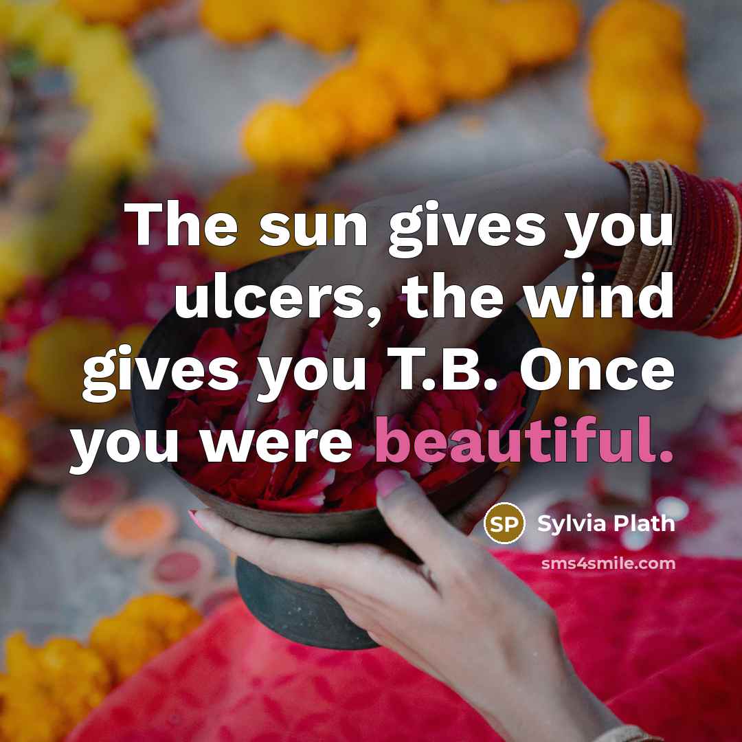“The sun gives you ulcers, the wind gives you T.B.…” quote by Sylvia Plath