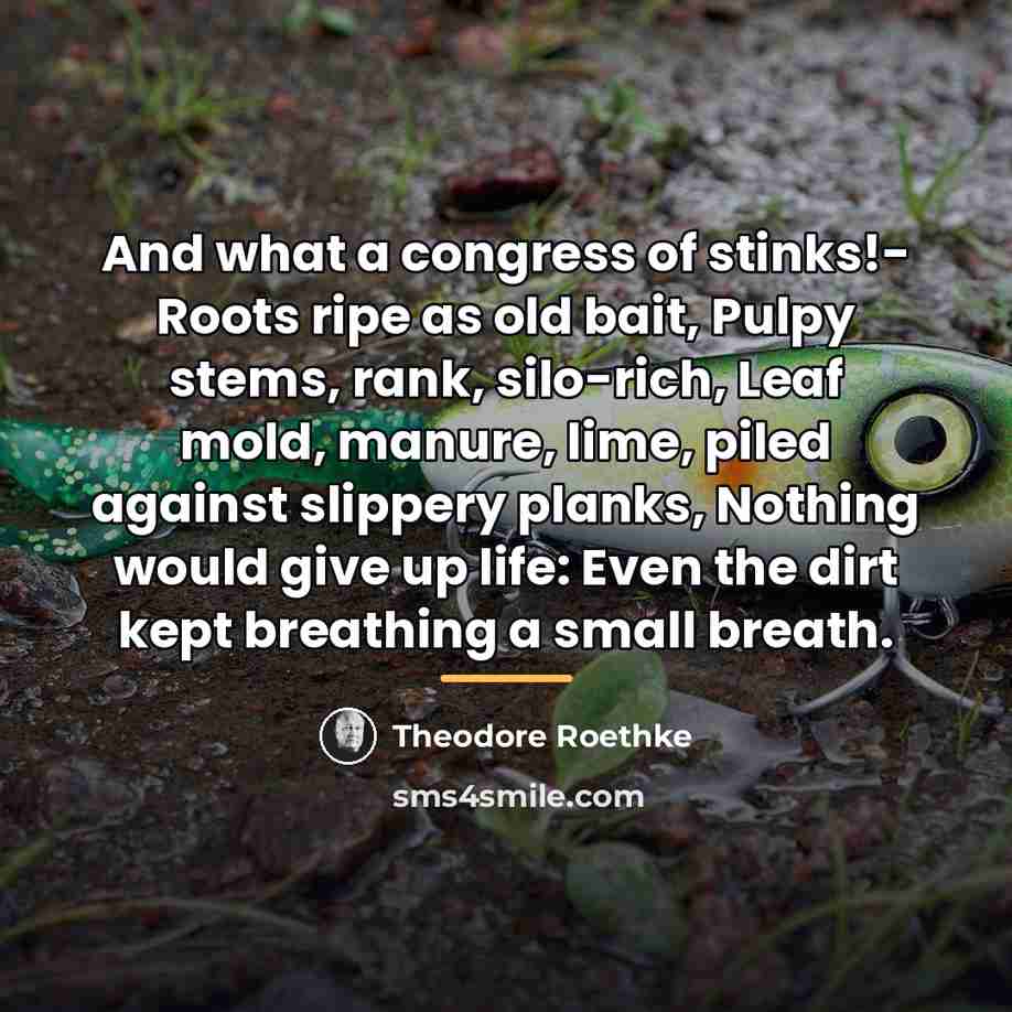 “And what a congress of stinks!- Roots ripe as old…” quote by Theodore Roethke