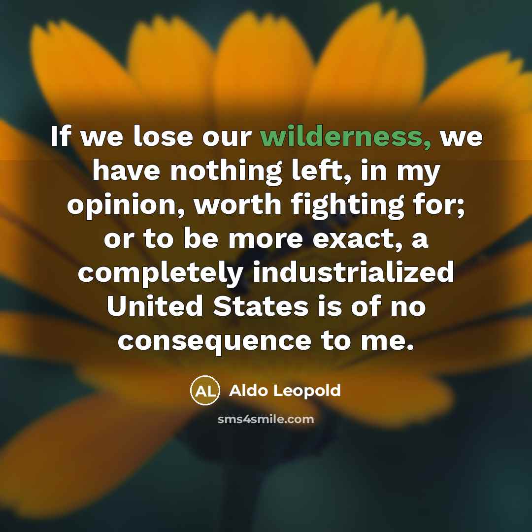 “If we lose our wilderness, we have nothing left, in…” quote by Aldo Leopold