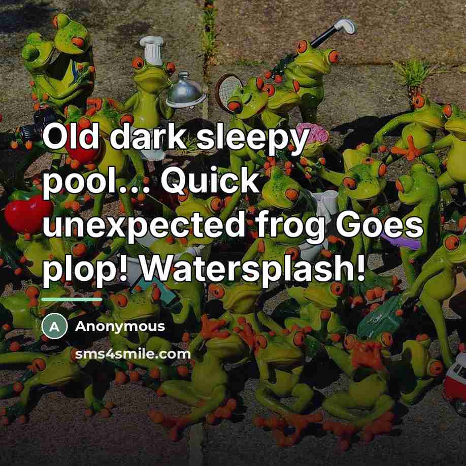 “Old dark sleepy pool... Quick unexpected frog Goes plop! Watersplash!…” quote by Anonymous