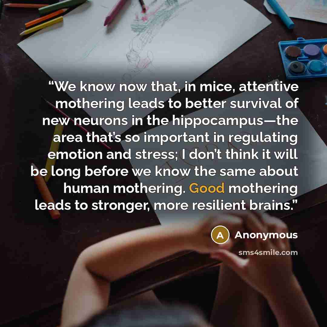 “We know now that, in mice, attentive mothering leads to better survival of new neurons in the hippocampus—the area that’s so important in regulating emotion and stress; I don’t think it will be long before we know the same about human mothering. Good mothering leads to stronger, more resilient…” quote by Anonymous
