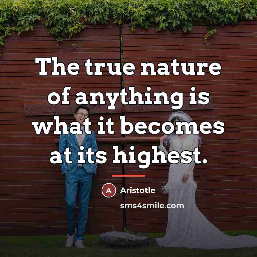 “The true nature of anything is what it becomes at…” quote by Aristotle