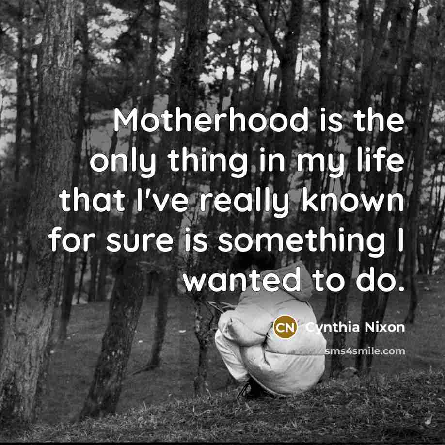 “Motherhood is the only thing in my life that I've…” quote by Cynthia Nixon