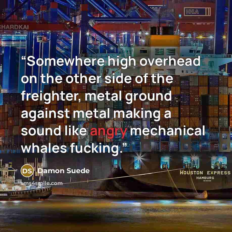 “Somewhere high overhead on the other side of the freighter, metal ground against metal making a sound like angry mechanical whales fucking.” quote by Damon Suede