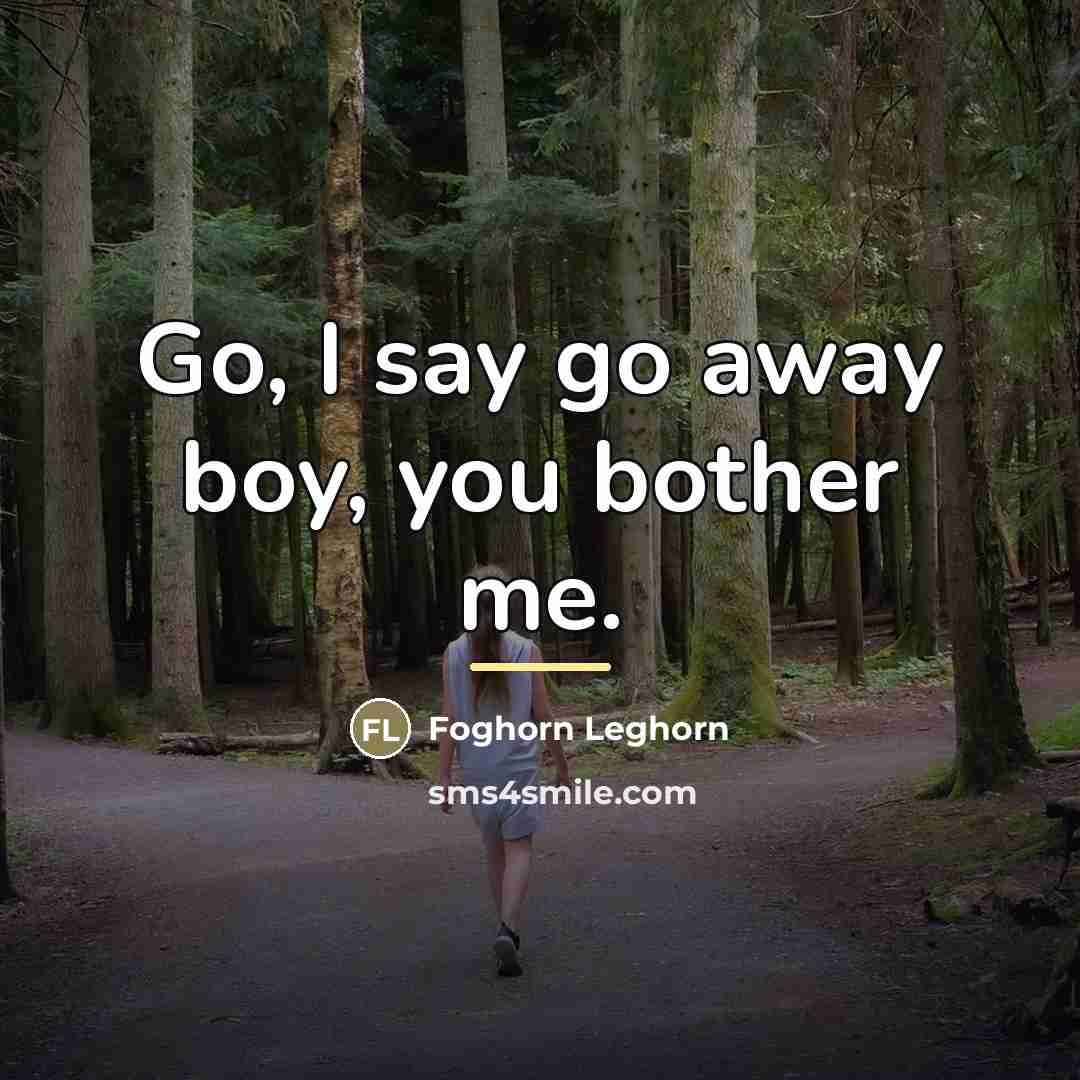 “Go, I say go away boy, you bother me.…” quote by Foghorn Leghorn
