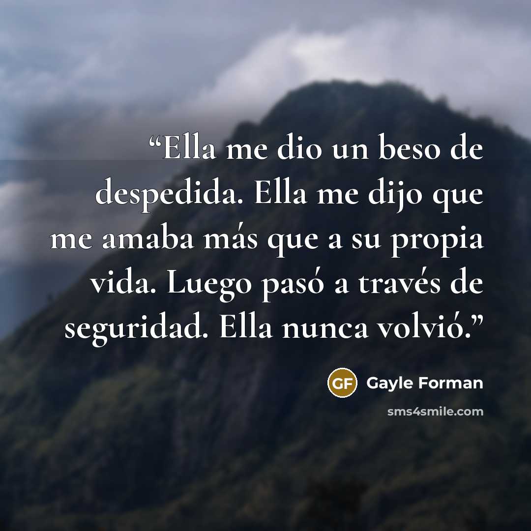 “Ella me dio un beso de despedida. Ella me dijo que me amaba más que a su propia vida. Luego pasó a través de seguridad. Ella nunca volvió.” quote by Gayle Forman