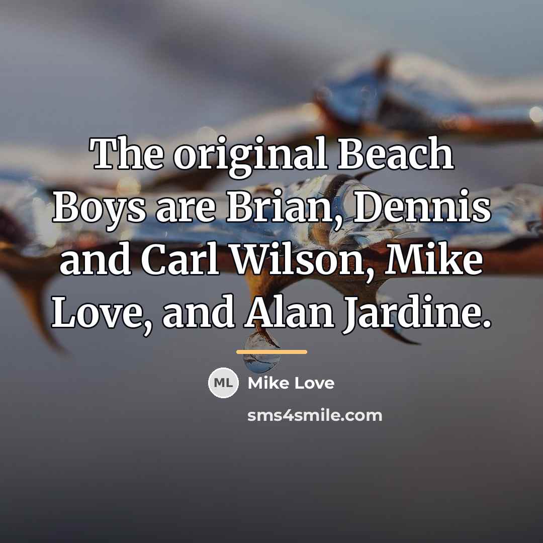 “The original Beach Boys are Brian, Dennis and Carl Wilson,…” quote by Mike Love
