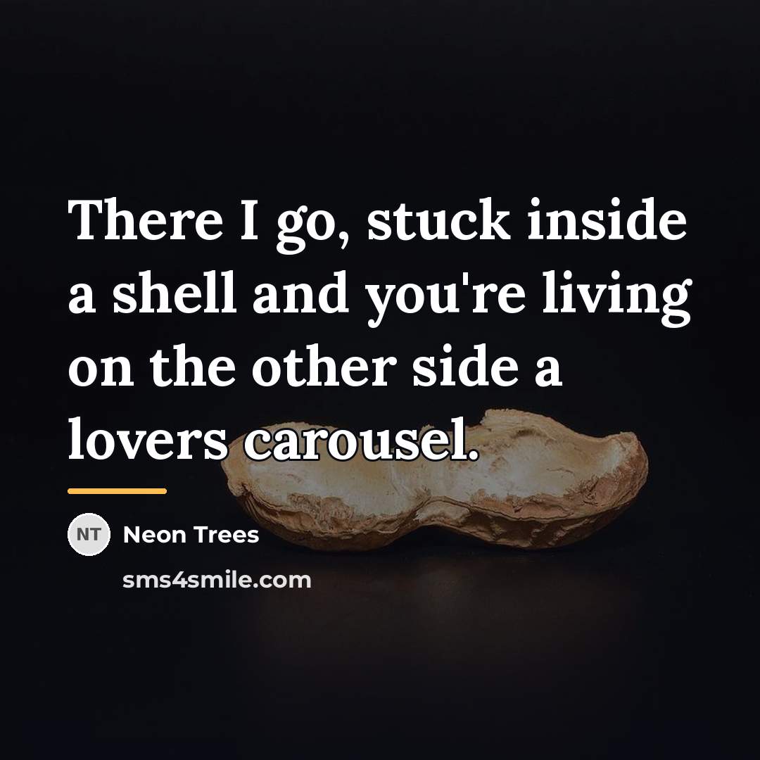 “There I go, stuck inside a shell and you're living…” quote by Neon Trees
