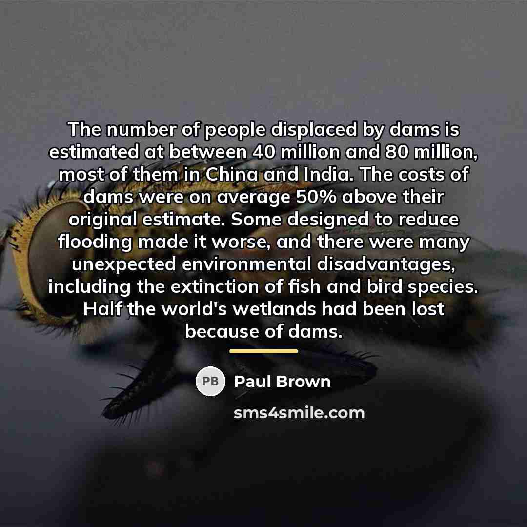 “The number of people displaced by dams is estimated at…” quote by Paul Brown