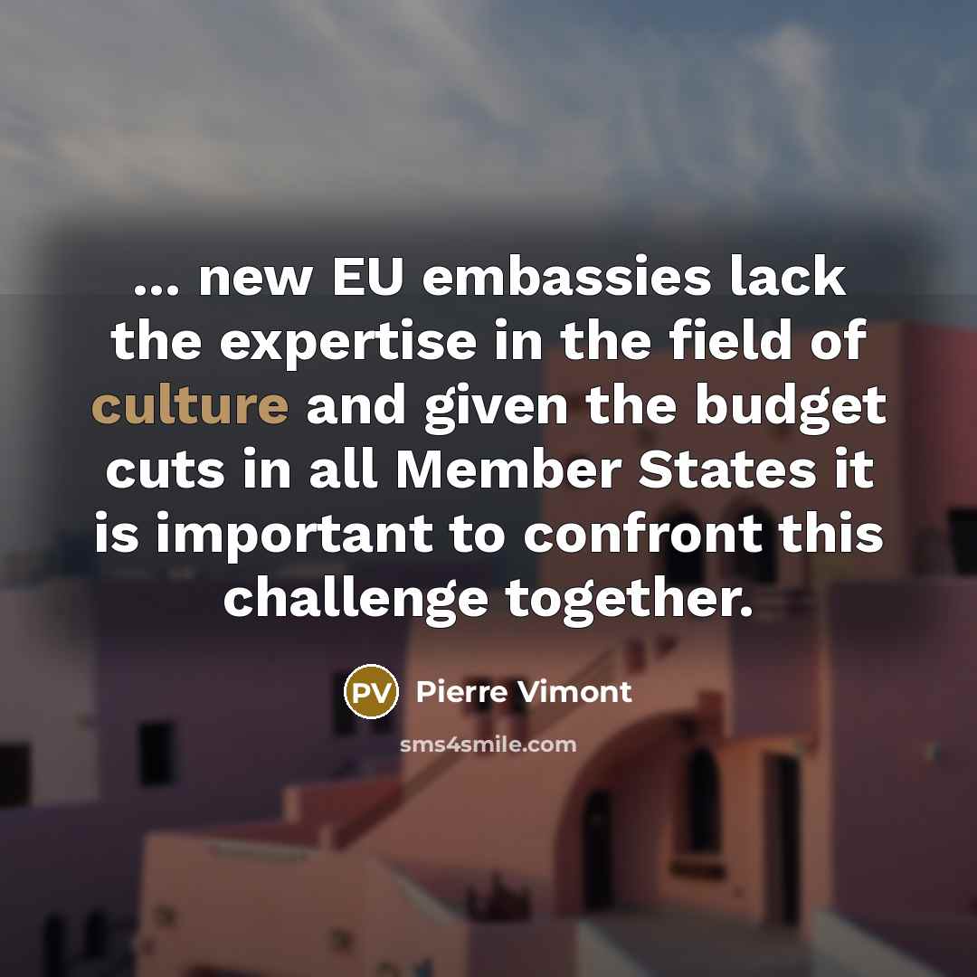 “... new EU embassies lack the expertise in the field…” quote by Pierre Vimont