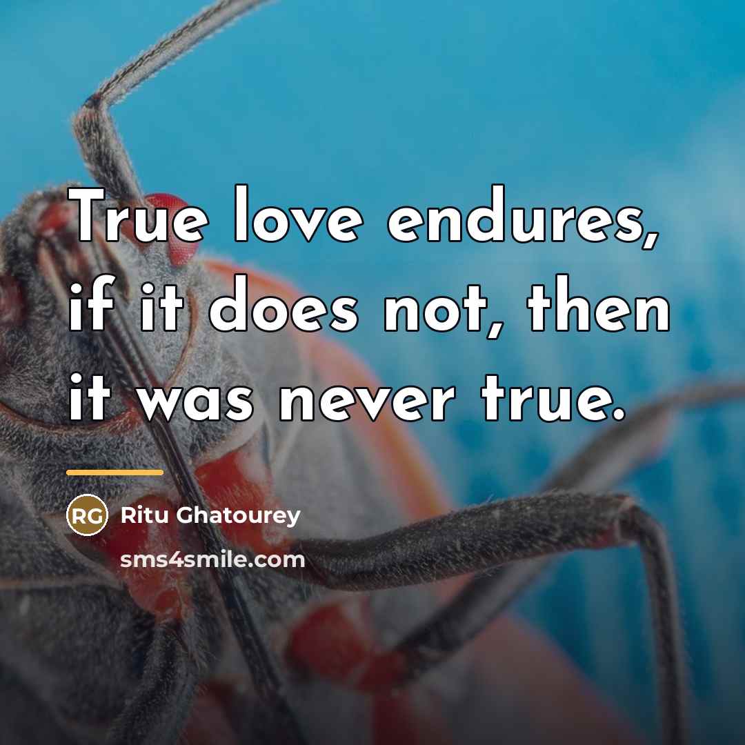 “True love endures, if it does not, then it was…” quote by Ritu Ghatourey