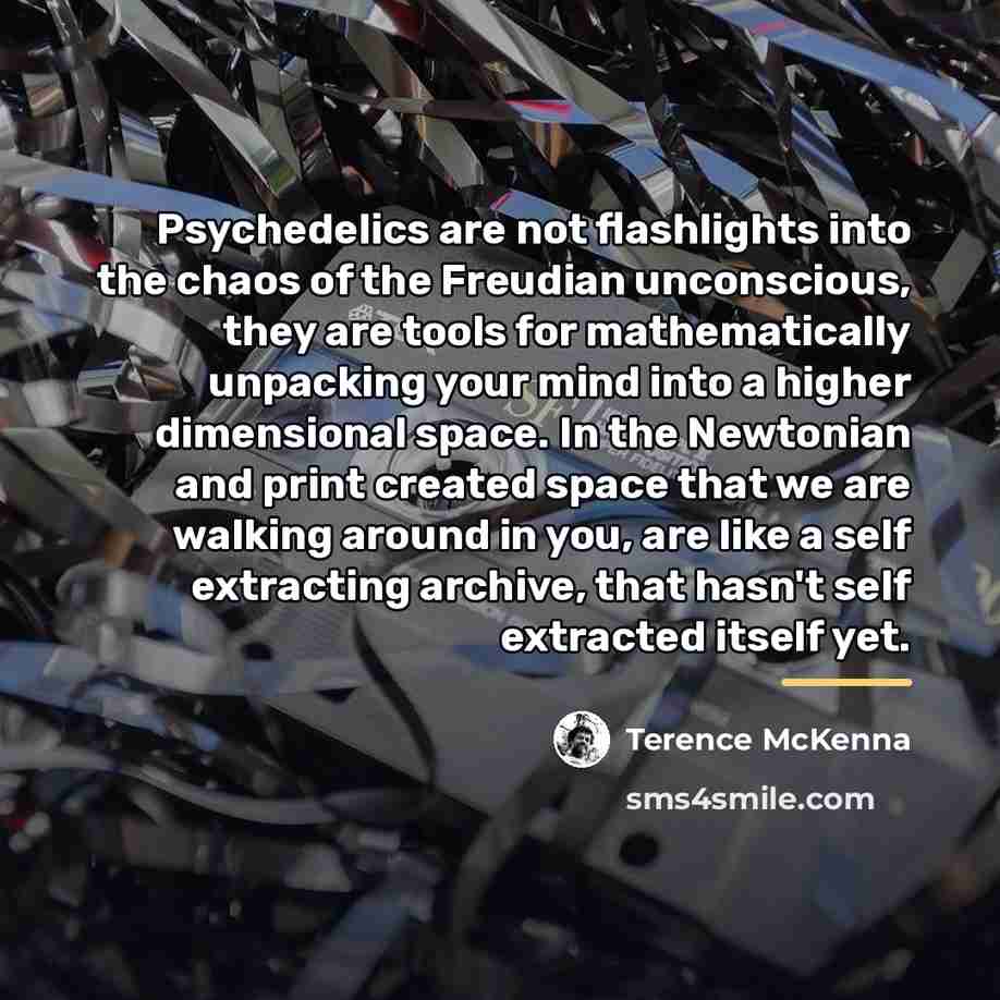 “Psychedelics are not flashlights into the chaos of the Freudian…” quote by Terence McKenna