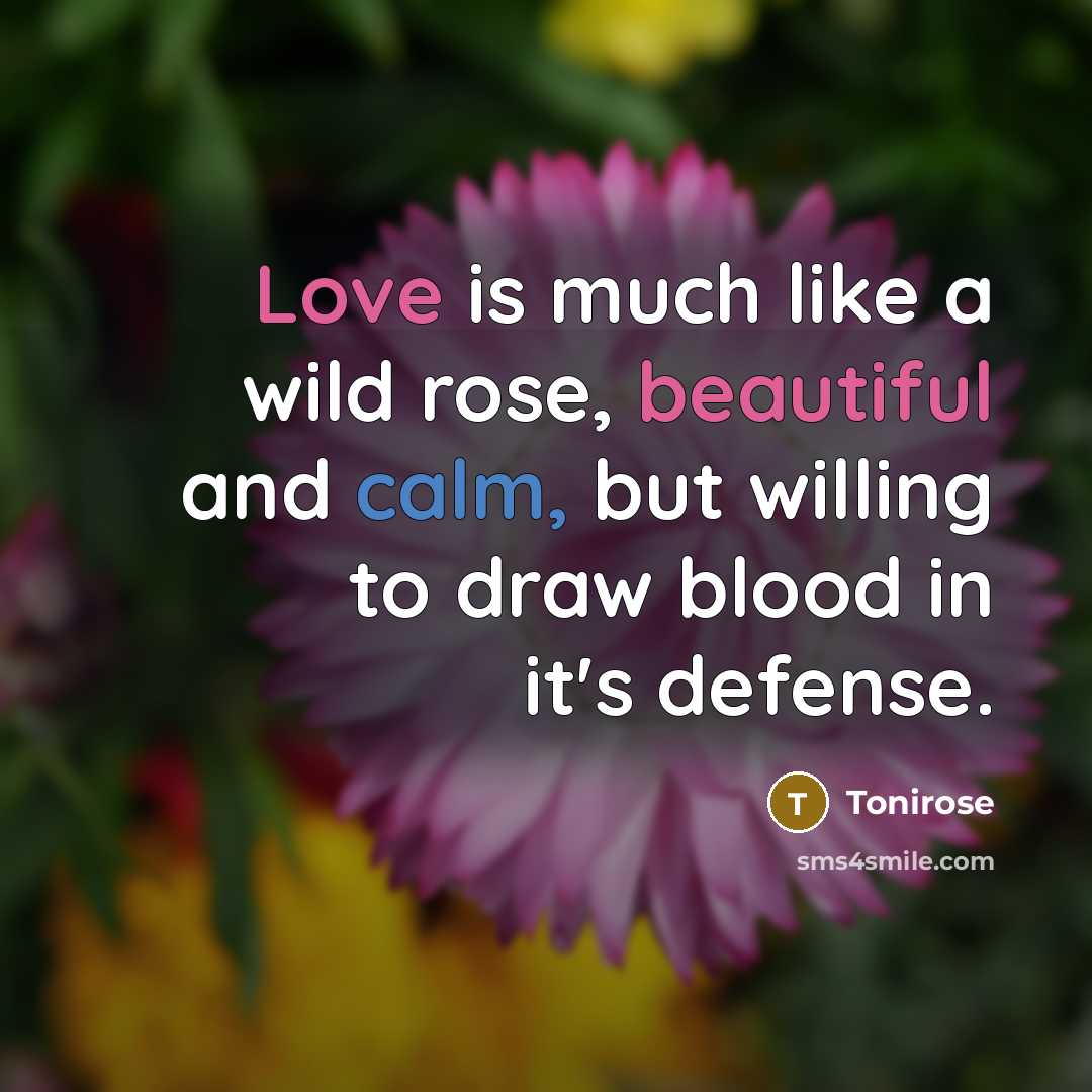 “Love is much like a wild rose, beautiful and calm, but willing to draw blood in it's defense.” quote by Tonirose