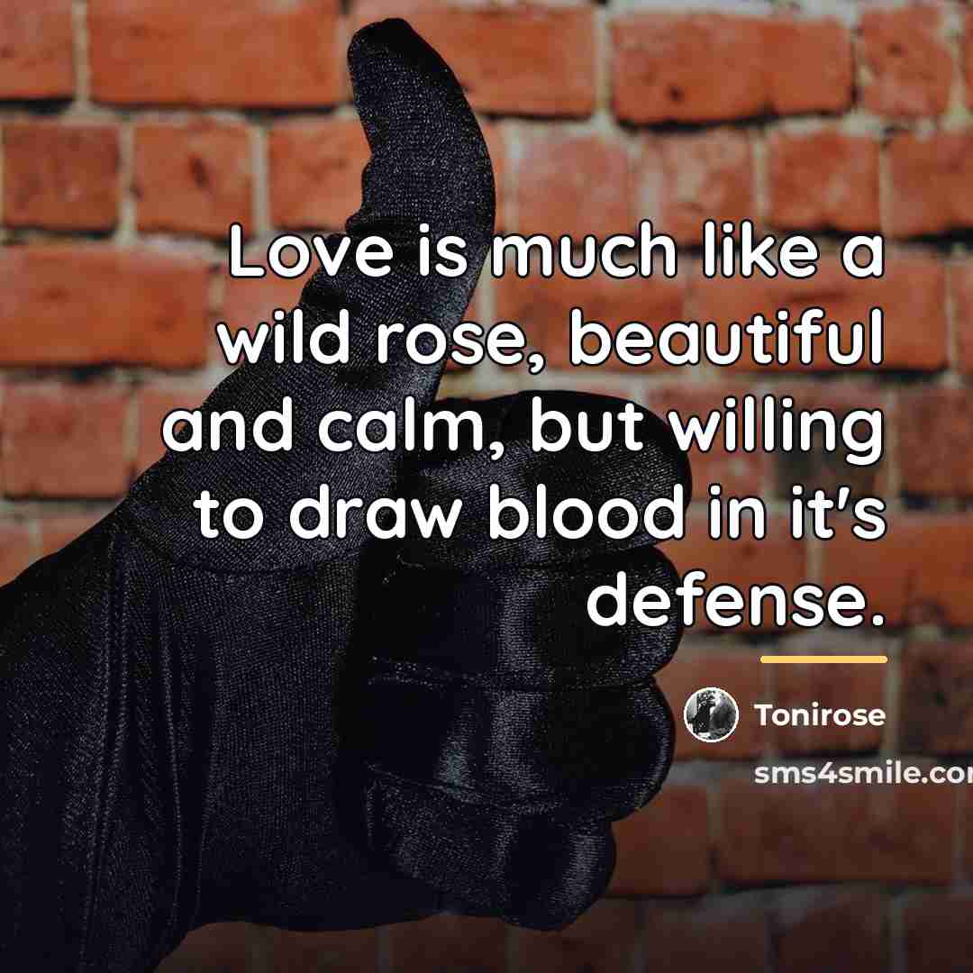 “Love is much like a wild rose, beautiful and calm,…” quote by Tonirose