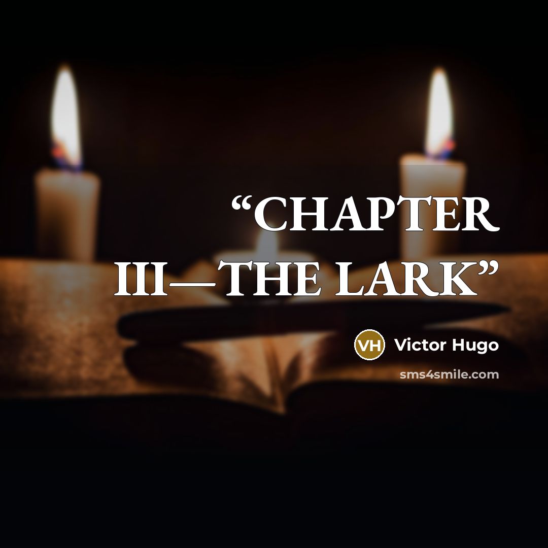 “CHAPTER III—THE LARK” quote by Victor Hugo
