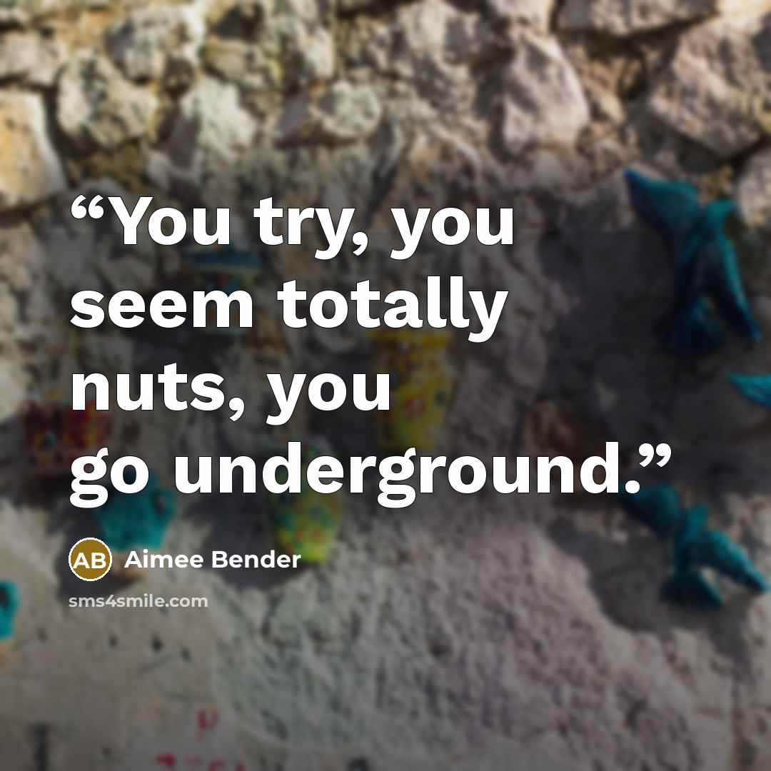 “You try, you seem totally nuts, you go underground.” quote by Aimee Bender