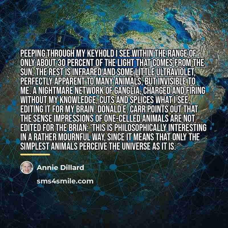 “Peeping through my keyhold I see within the range of…” quote by Annie Dillard