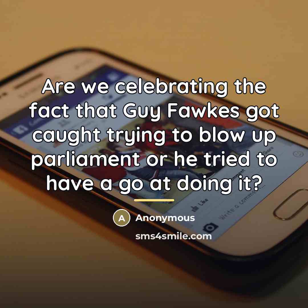 “Are we celebrating the fact that Guy Fawkes got caught…” quote by Anonymous