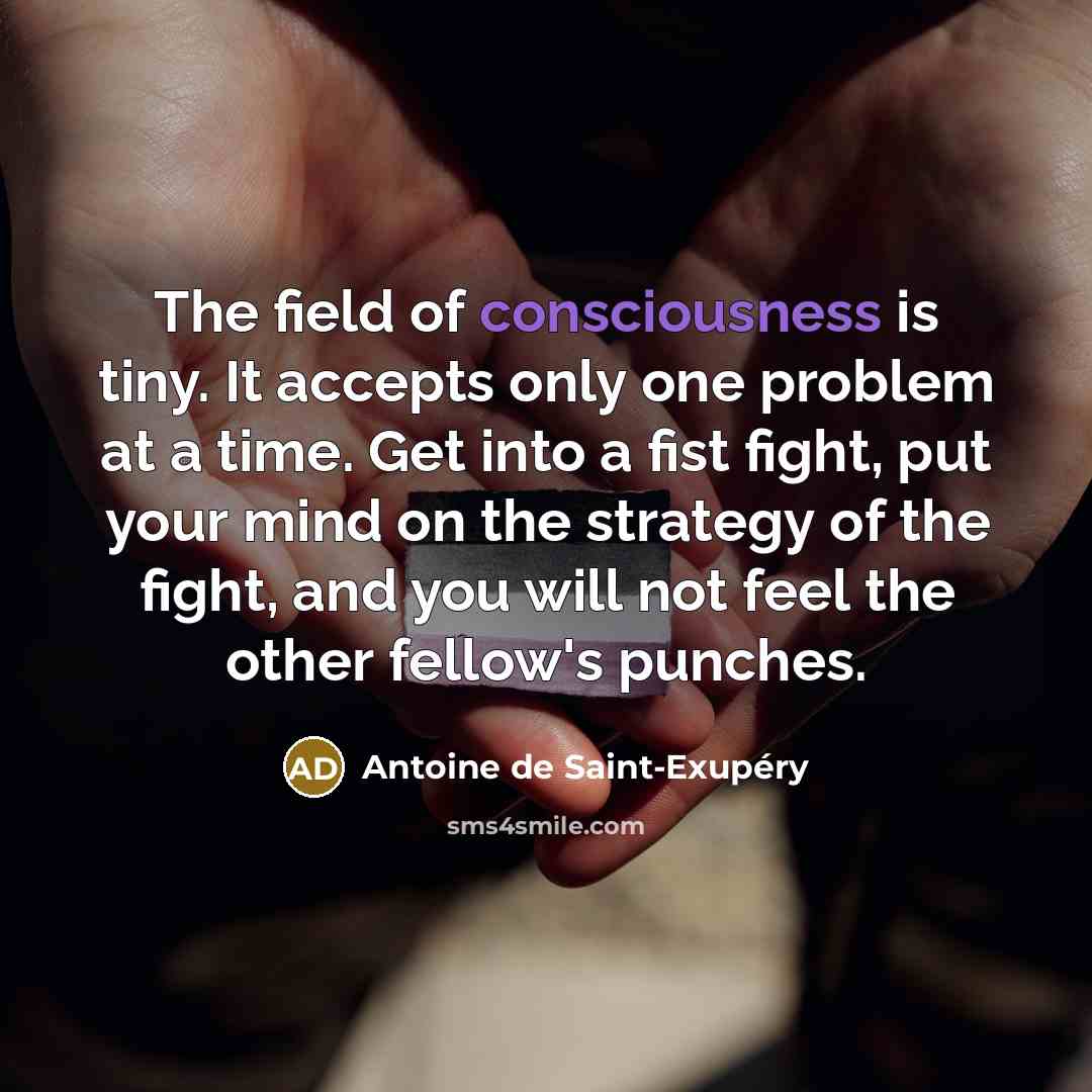 “The field of consciousness is tiny. It accepts only one…” quote by Antoine de Saint-Exupery