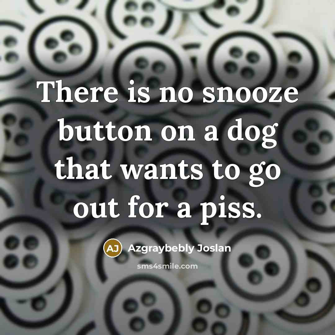 “There is no snooze button on a dog that wants…” quote by Azgraybebly Joslan