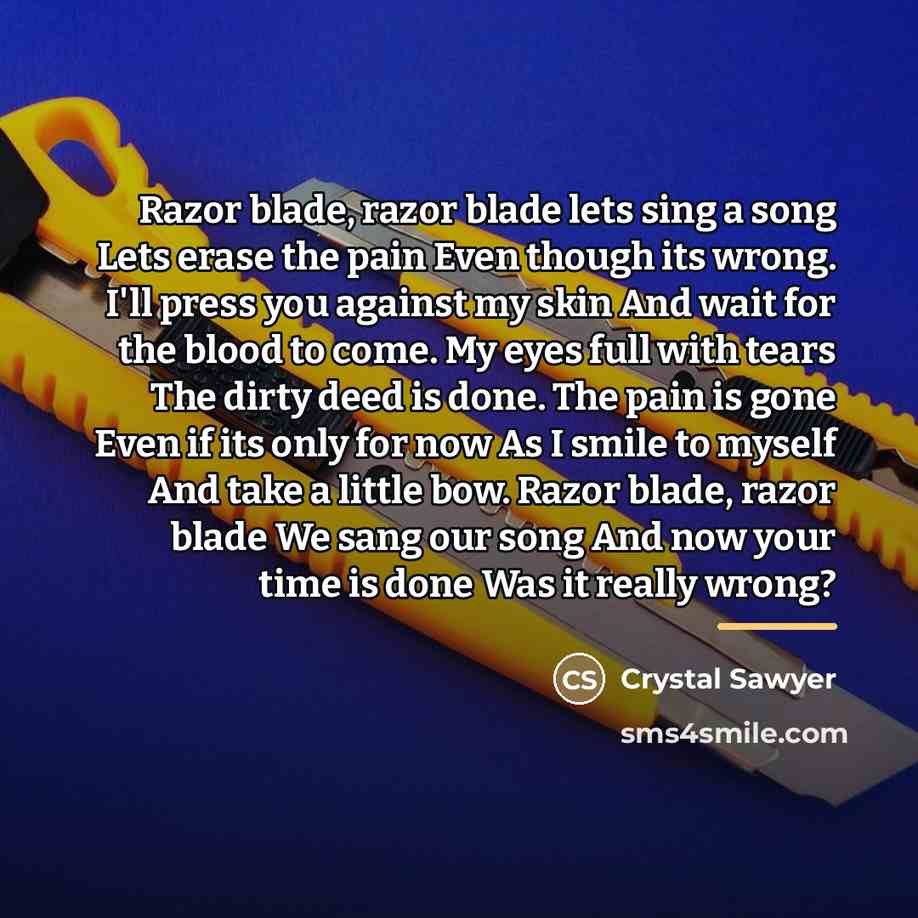 “Razor blade, razor blade lets sing a song Lets erase…” quote by Crystal Sawyer
