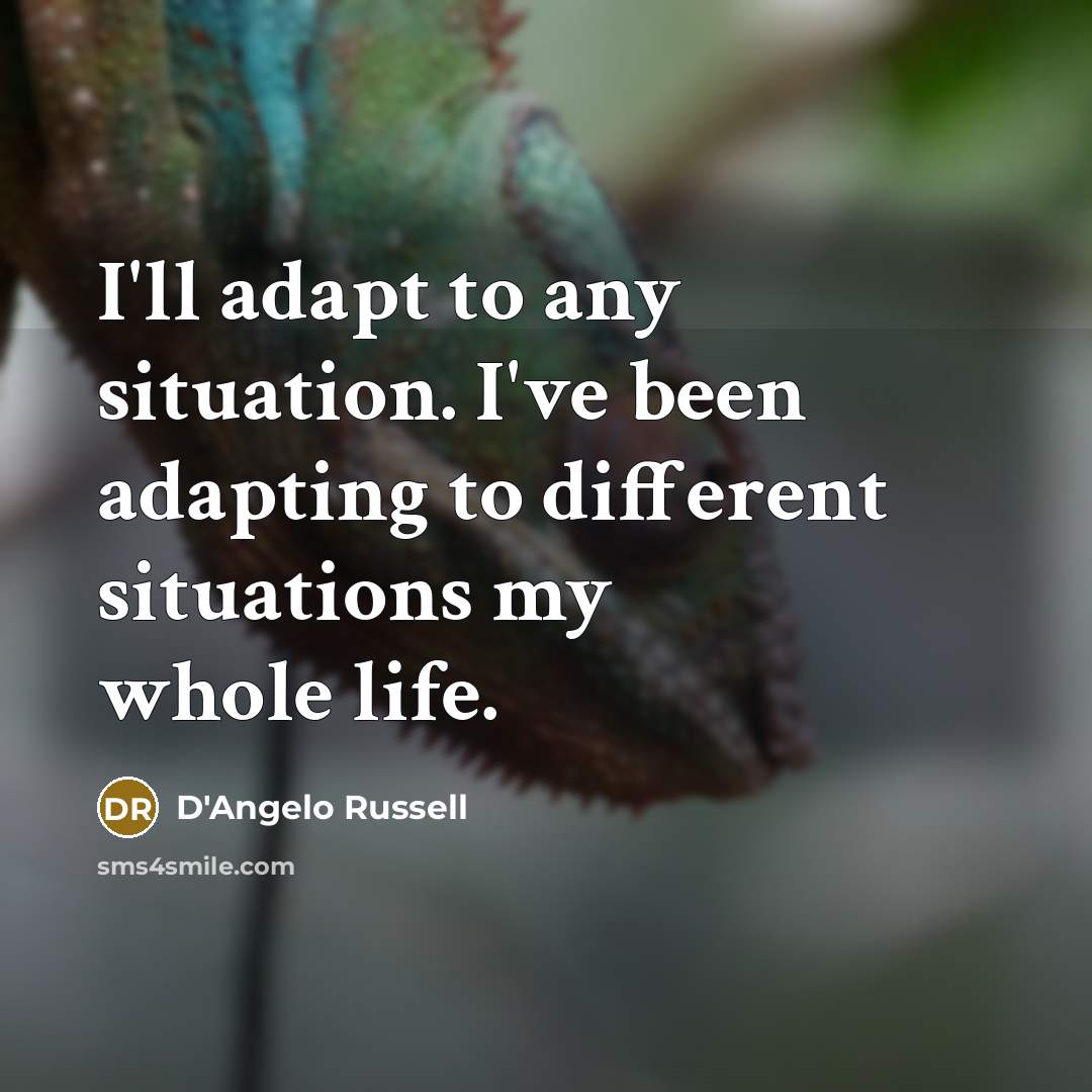 “I'll adapt to any situation. I've been adapting to different…” quote by D'Angelo Russell