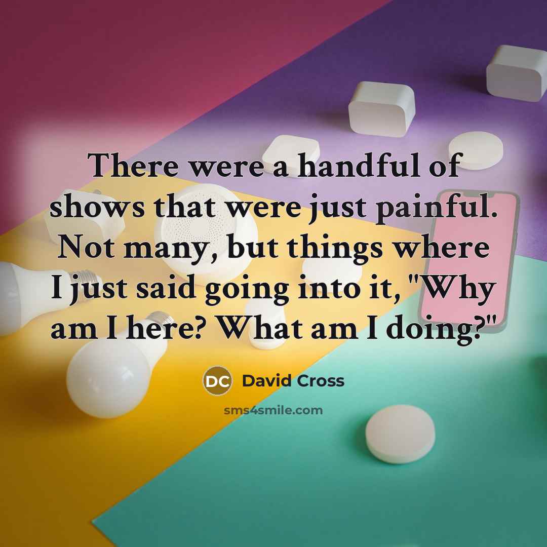 “There were a handful of shows that were just painful.…” quote by David Cross
