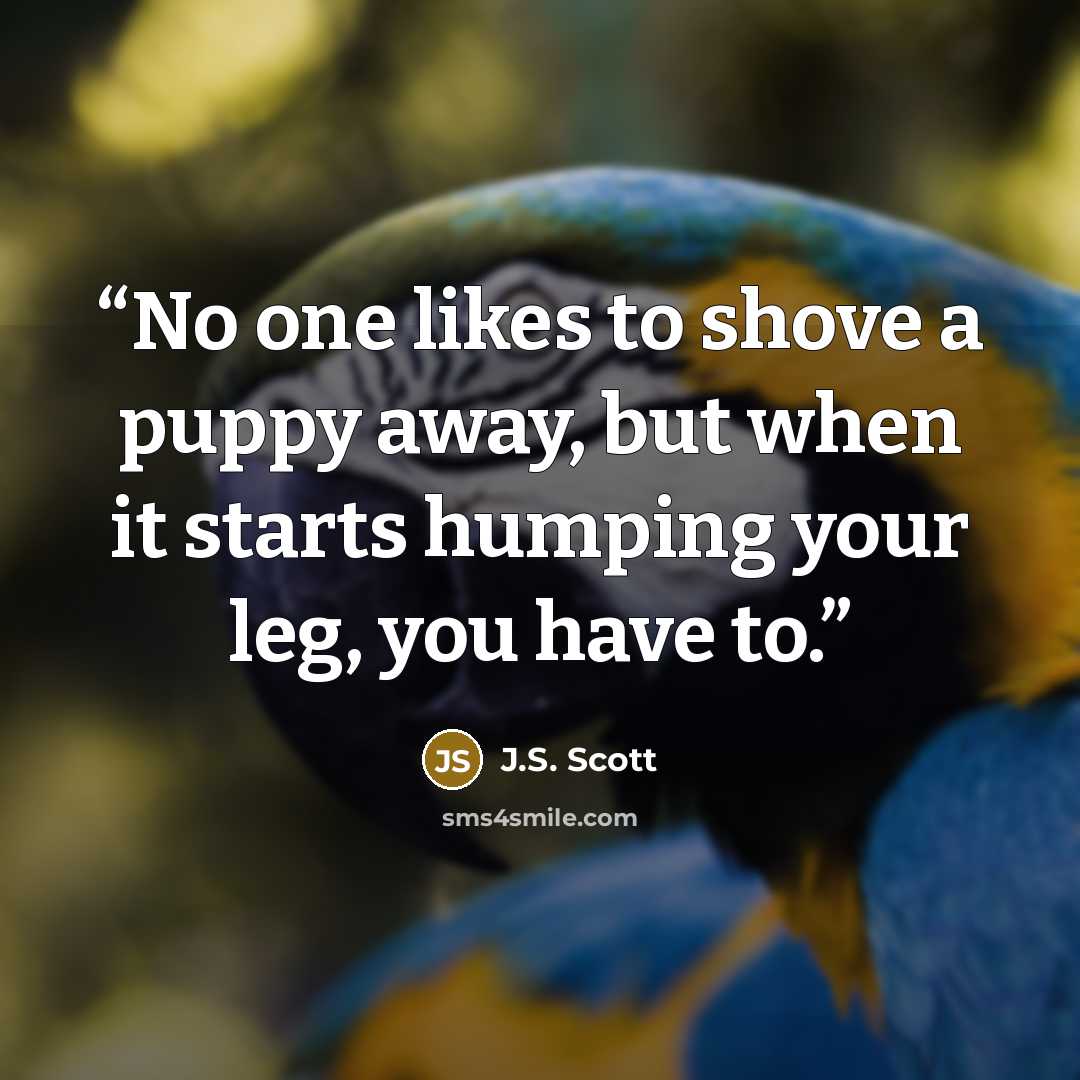 “No one likes to shove a puppy away, but when it starts humping your leg, you have to.” quote by J.S. Scott