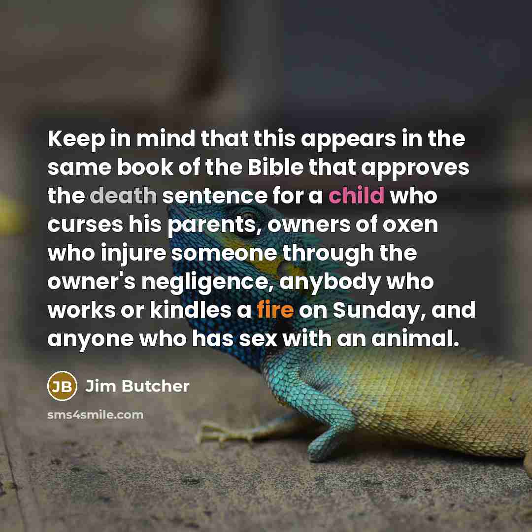 “Keep in mind that this appears in the same book…” quote by Jim Butcher