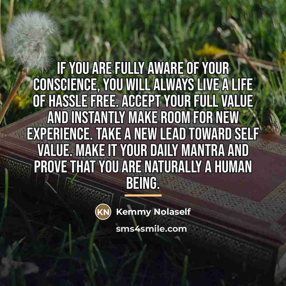 “If you are fully aware of your conscience, you will…” quote by Kemmy Nolaself