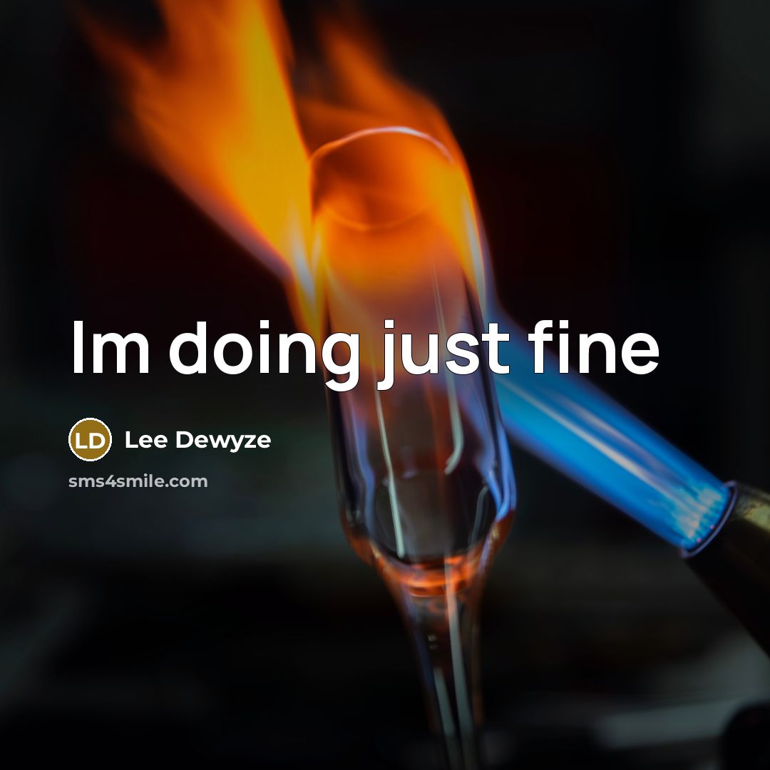 “Im doing just fine…” quote by Lee Dewyze