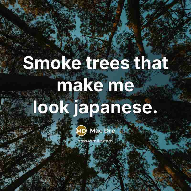 “Smoke trees that make me look japanese.…” quote by Mac Dre
