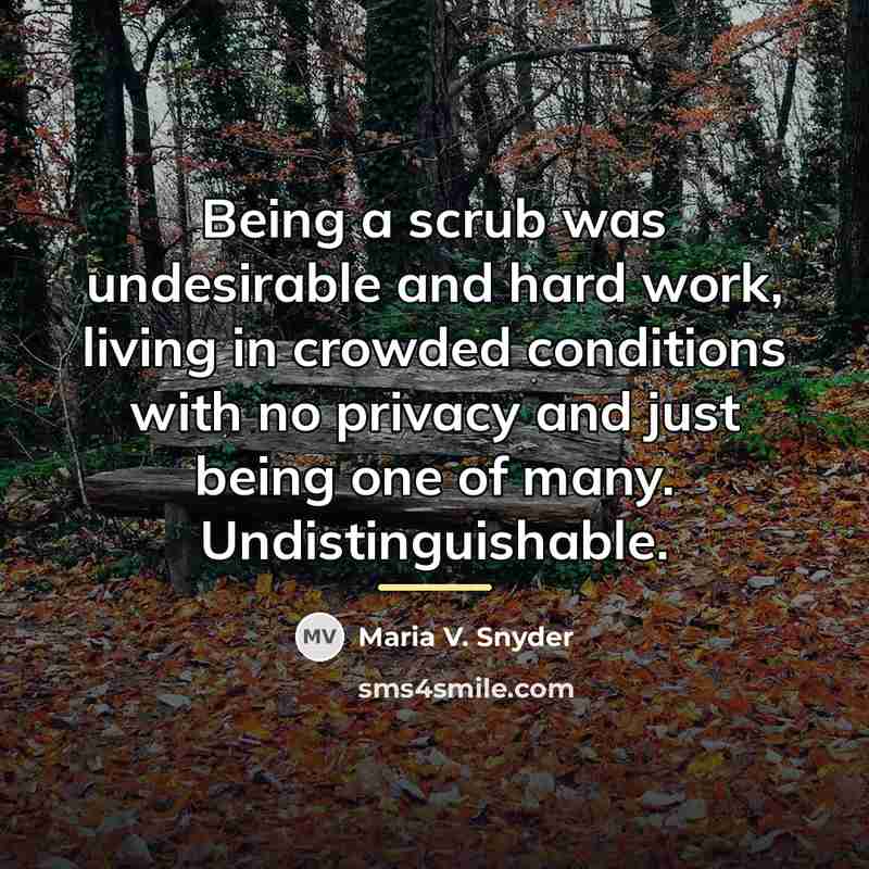 “Being a scrub was undesirable and hard work, living in…” quote by Maria V. Snyder