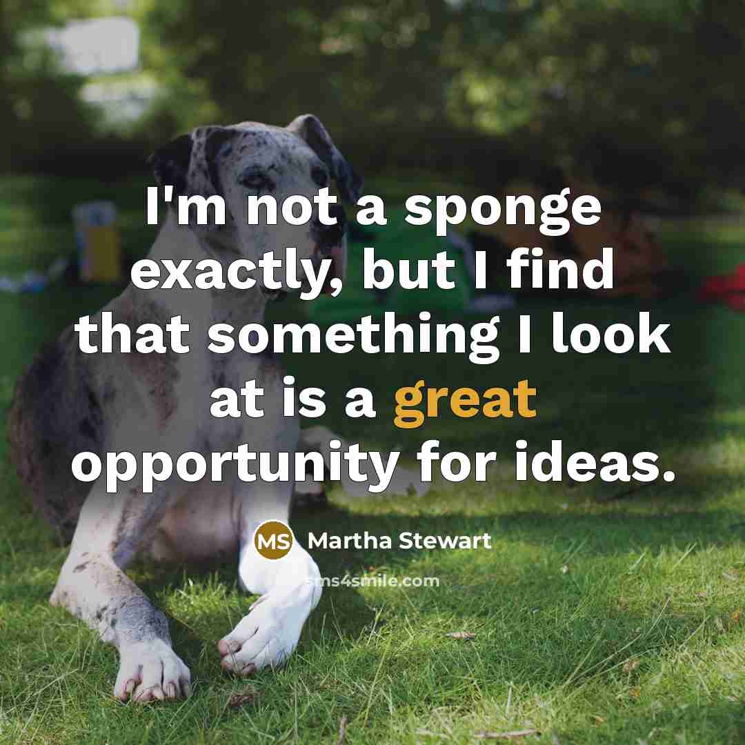 “I'm not a sponge exactly, but I find that something…” quote by Martha Stewart