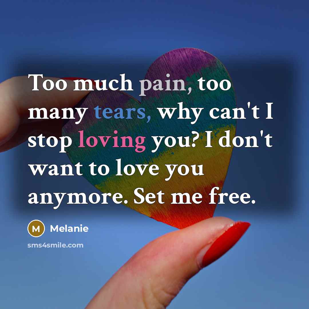 “Too much pain, too many tears, why can't I stop…” quote by Melanie