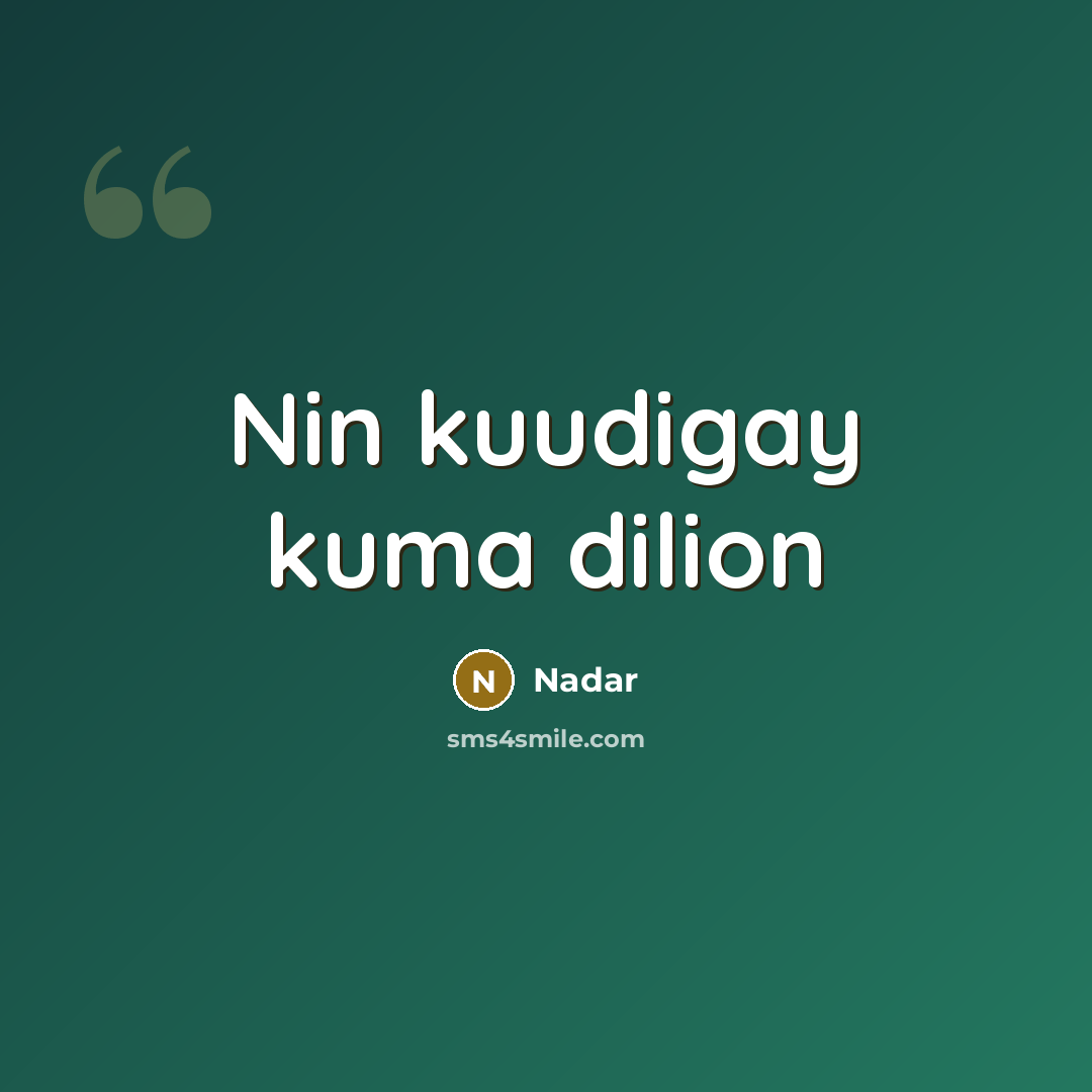 “Nin kuudigay kuma dilion” quote by Nadar