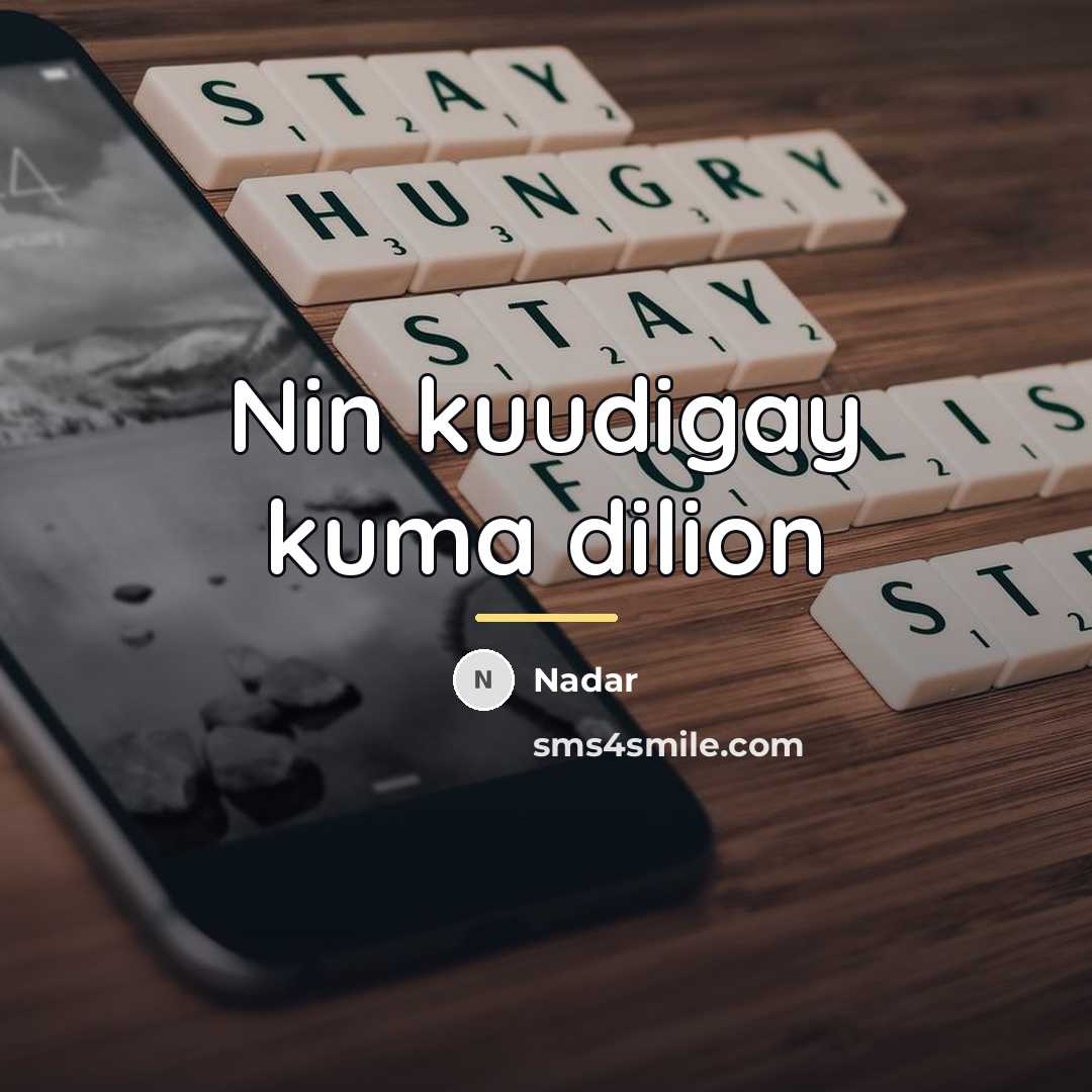 “Nin kuudigay kuma dilion…” quote by Nadar
