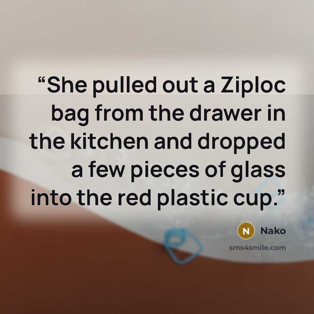 “She pulled out a Ziploc bag from the drawer in the kitchen and dropped a few pieces of glass into the red plastic cup.” quote by Nako
