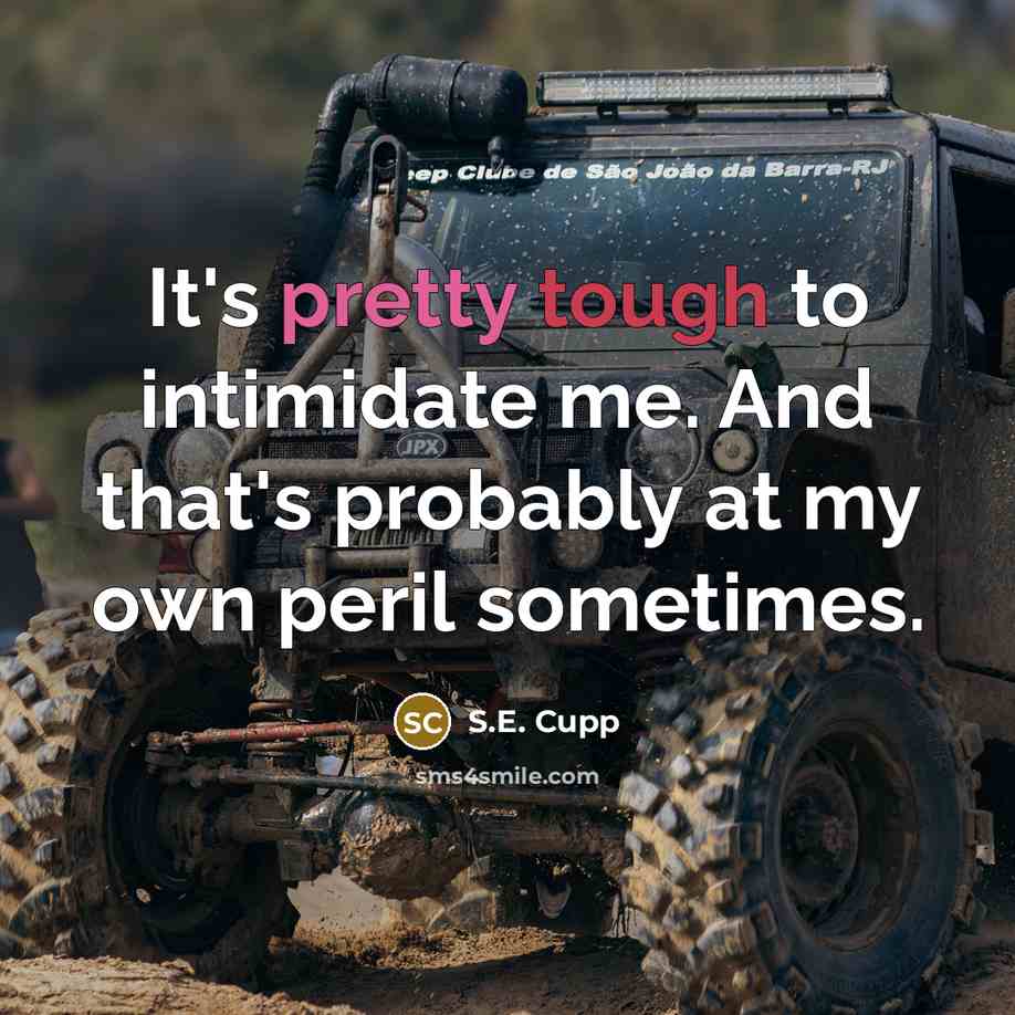 “It's pretty tough to intimidate me. And that's probably at my own peril sometimes.” quote by S.E. Cupp