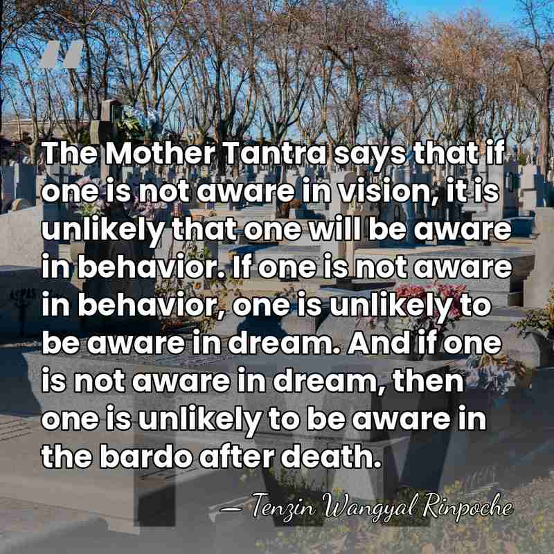 The Mother Tantra says that if one is not aware in vision,&hellip; - Tenzin Wangyal Rinpoche